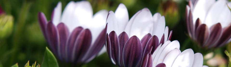 发手机号软件app