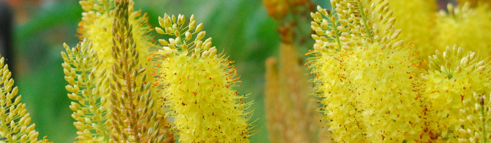 电脑短信轰炸机